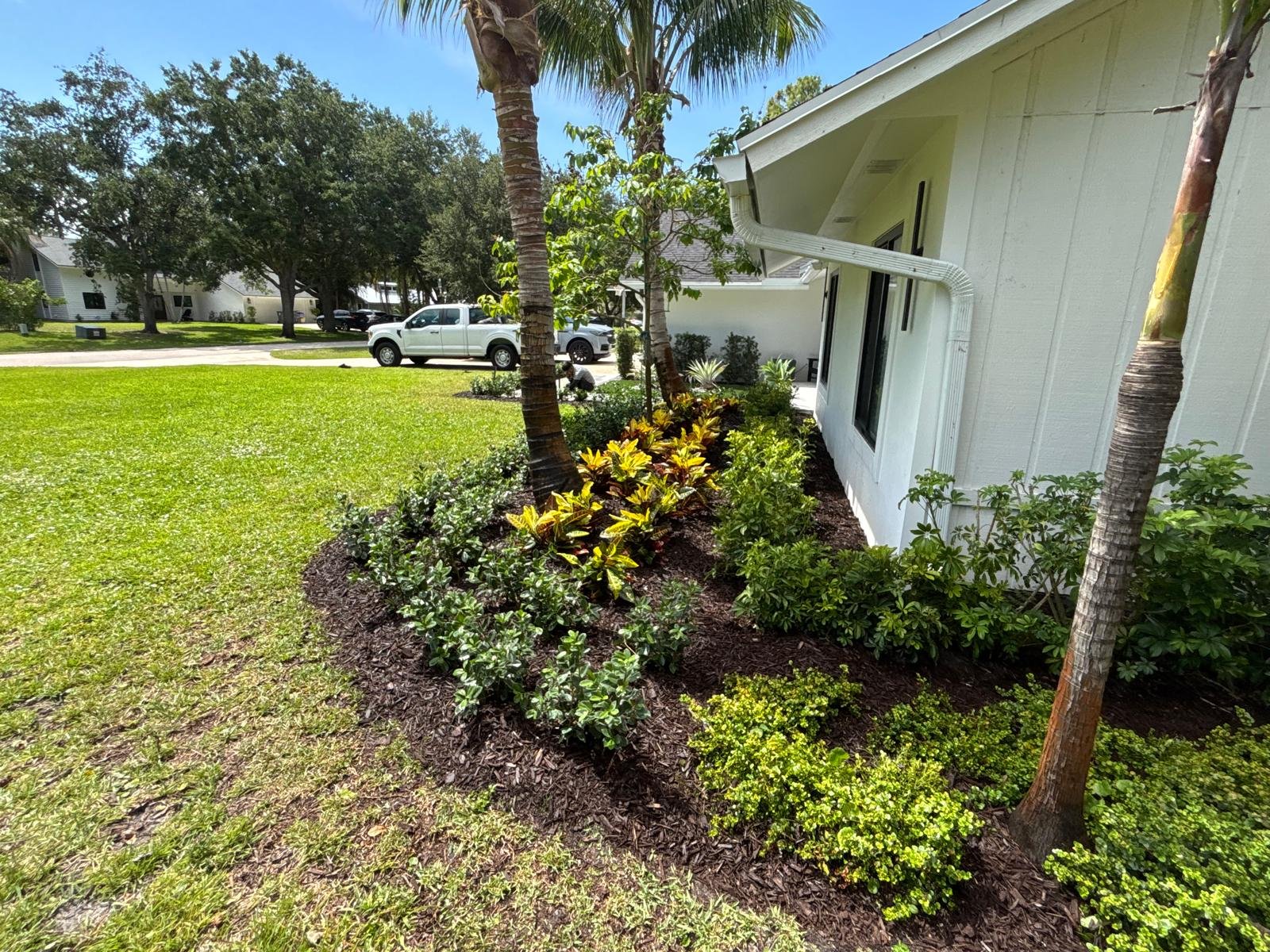 Plant and flower planting